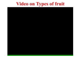 Video on Types of fruit
 