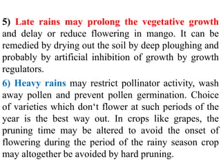 5) Late rains may prolong the vegetative growth
and delay or reduce flowering in mango. It can be
remedied by drying out the soil by deep ploughing and
probably by artificial inhibition of growth by growth
regulators.
6) Heavy rains may restrict pollinator activity, wash
away pollen and prevent pollen germination. Choice
of varieties which don‘t flower at such periods of the
year is the best way out. In crops like grapes, the
pruning time may be altered to avoid the onset of
flowering during the period of the rainy season crop
may altogether be avoided by hard pruning.
 