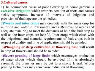 5.Cultural causes:
1)The commonest cause of poor flowering in house gardens is
excessive irrigation which restricts aeration of roots and causes
sickly symptoms. Increase of intervals of irrigation and
provision of drainage are the remedies.
2)Weeds and inter crops may compete with the main crop for
nutrition and water in low rainfall areas .Removal of weeds and
adequate manuring to meet the demands of both the fruit crop as
well as the inter crops are helpful. Inter crops which clash with
the irrigational and manurial requirements of fruit crops both in
respect of quality and time of application should be avoided.
3)Ploughing or deep cultivation at flowering time will result
in drop of flowers and should be avoided.
4)Severe pruning of large limbs which encourages production
of water shoots which should be avoided. If it is absolutely
essential, the branches may be cut to a strong lateral. Wrong
pruning techniques may also cause reduction of flowering.
 