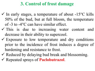 3. Control of frost damage
 In early stages, a temperature of about -15°C kills
50% of the bud, but at full bloom, the temperature
of -3 to -4°C can have similar effect.
 This is due to increasing water content and
decrease in their ability to supercool.
 Exposure to low temperature and dry conditions
prior to the incidence of frost induces a degree of
hardening and resistance to frost.
 Reduced by delaying bud break and blossoming.
 Repeated sprays of Paclobutrazol.
 