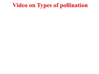 Video on Types of pollination
 