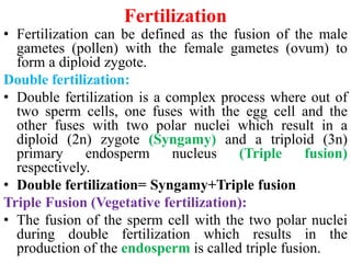 Fertilization
• Fertilization can be defined as the fusion of the male
gametes (pollen) with the female gametes (ovum) to
form a diploid zygote.
Double fertilization:
• Double fertilization is a complex process where out of
two sperm cells, one fuses with the egg cell and the
other fuses with two polar nuclei which result in a
diploid (2n) zygote (Syngamy) and a triploid (3n)
primary endosperm nucleus (Triple fusion)
respectively.
• Double fertilization= Syngamy+Triple fusion
Triple Fusion (Vegetative fertilization):
• The fusion of the sperm cell with the two polar nuclei
during double fertilization which results in the
production of the endosperm is called triple fusion.
 