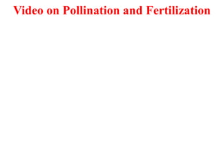 Video on Pollination and Fertilization
 
