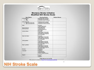 NIH Stroke Scale
 