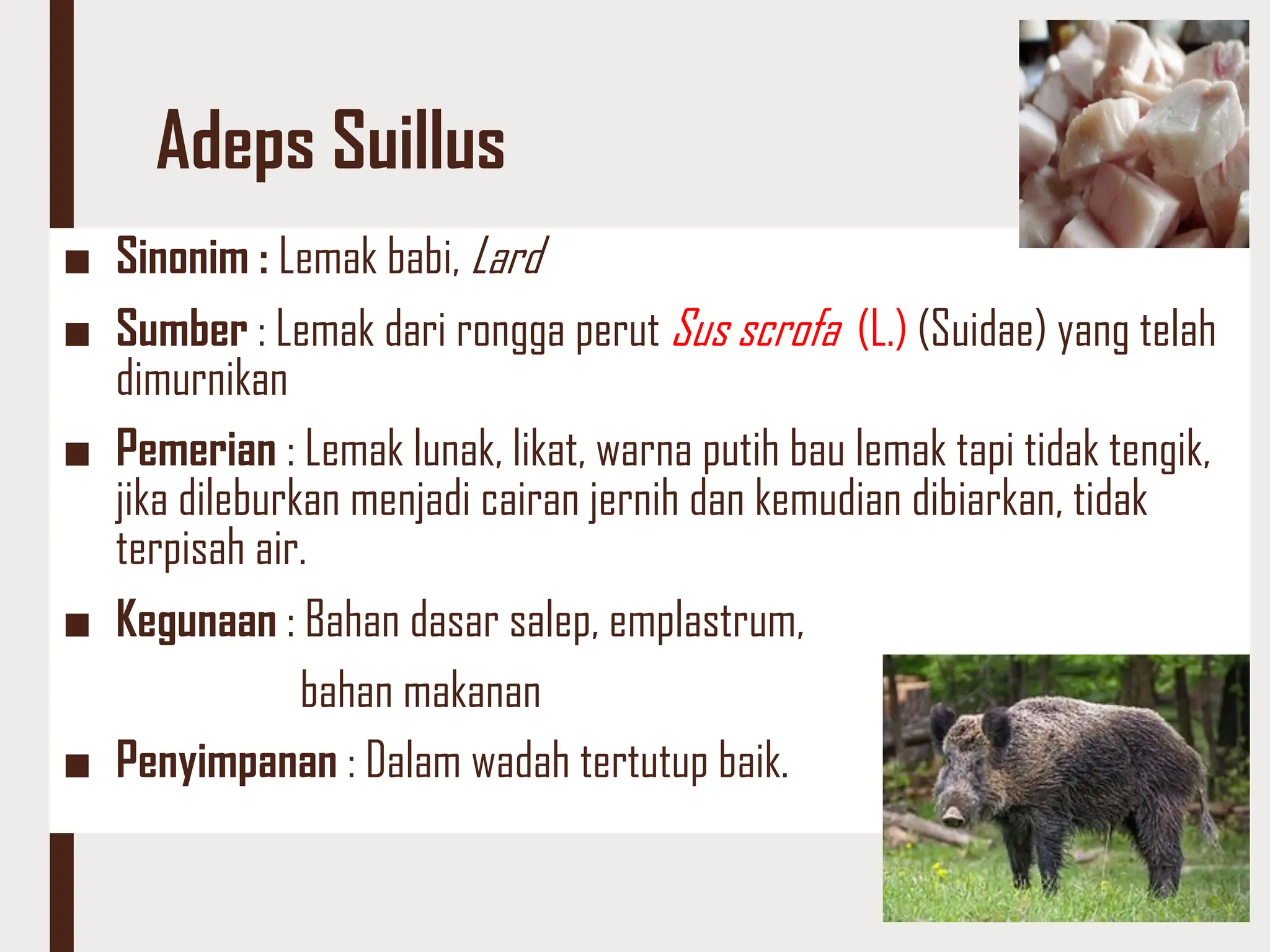 12. simplisia hewani dan kegunaannya dalam kehidupan sehari-hari .pdf