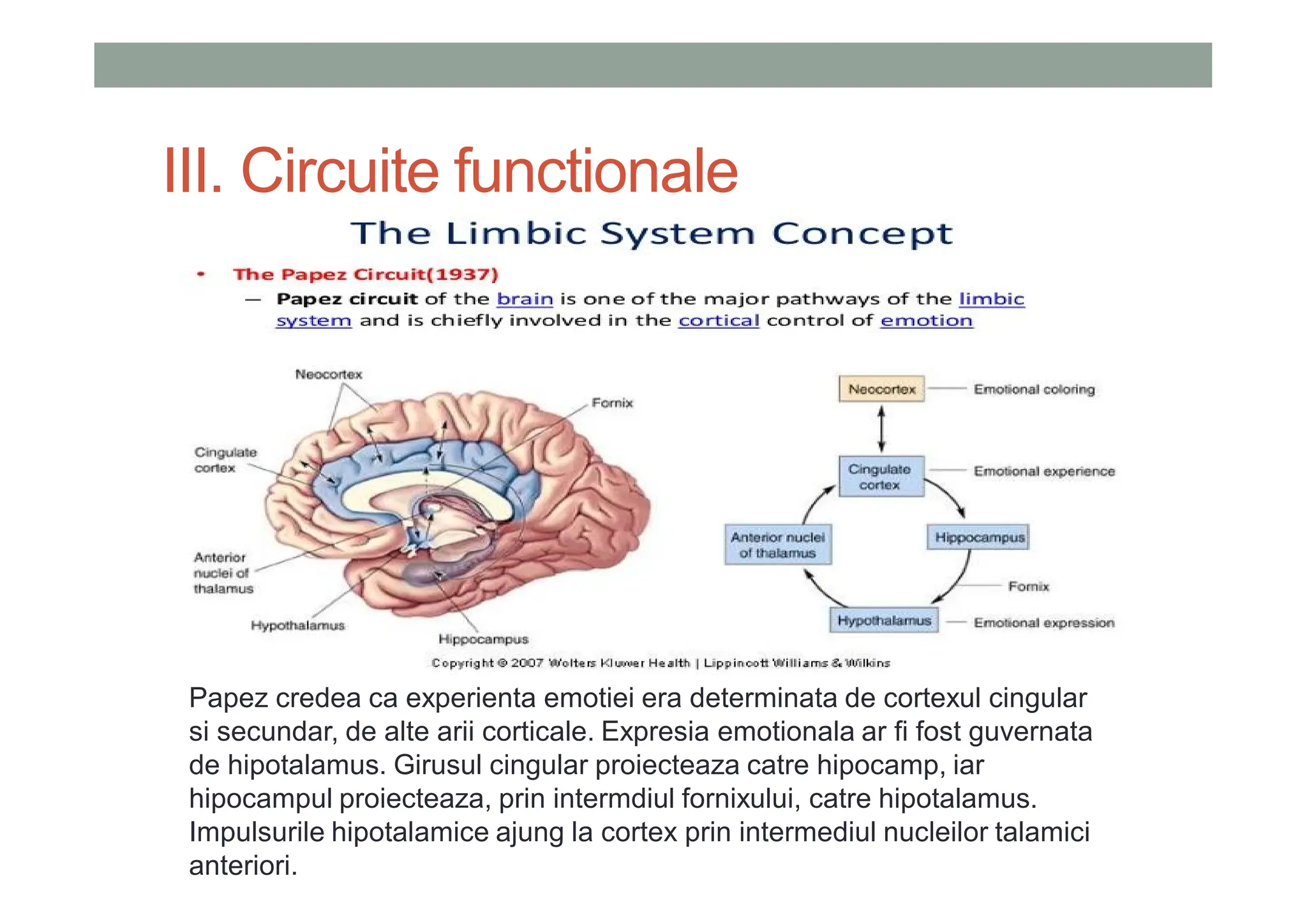 12.-Sistemul-limbic-Dr.-Harabula-Bogdan.pdf