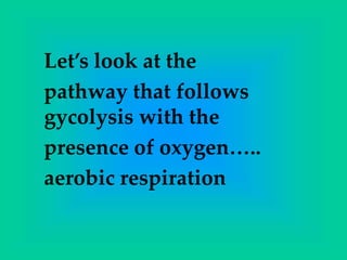 Let’s look at the
pathway that follows
gycolysis with the
presence of oxygen…..
aerobic respiration
 