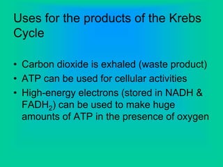 Uses for the products of the Krebs
Cycle
• Carbon dioxide is exhaled (waste product)
• ATP can be used for cellular activities
• High-energy electrons (stored in NADH &
FADH2) can be used to make huge
amounts of ATP in the presence of oxygen
 