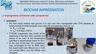 Tea Biochar Biochar impregnation as slow release fertilizer - Violeta Alexandra Ion ...