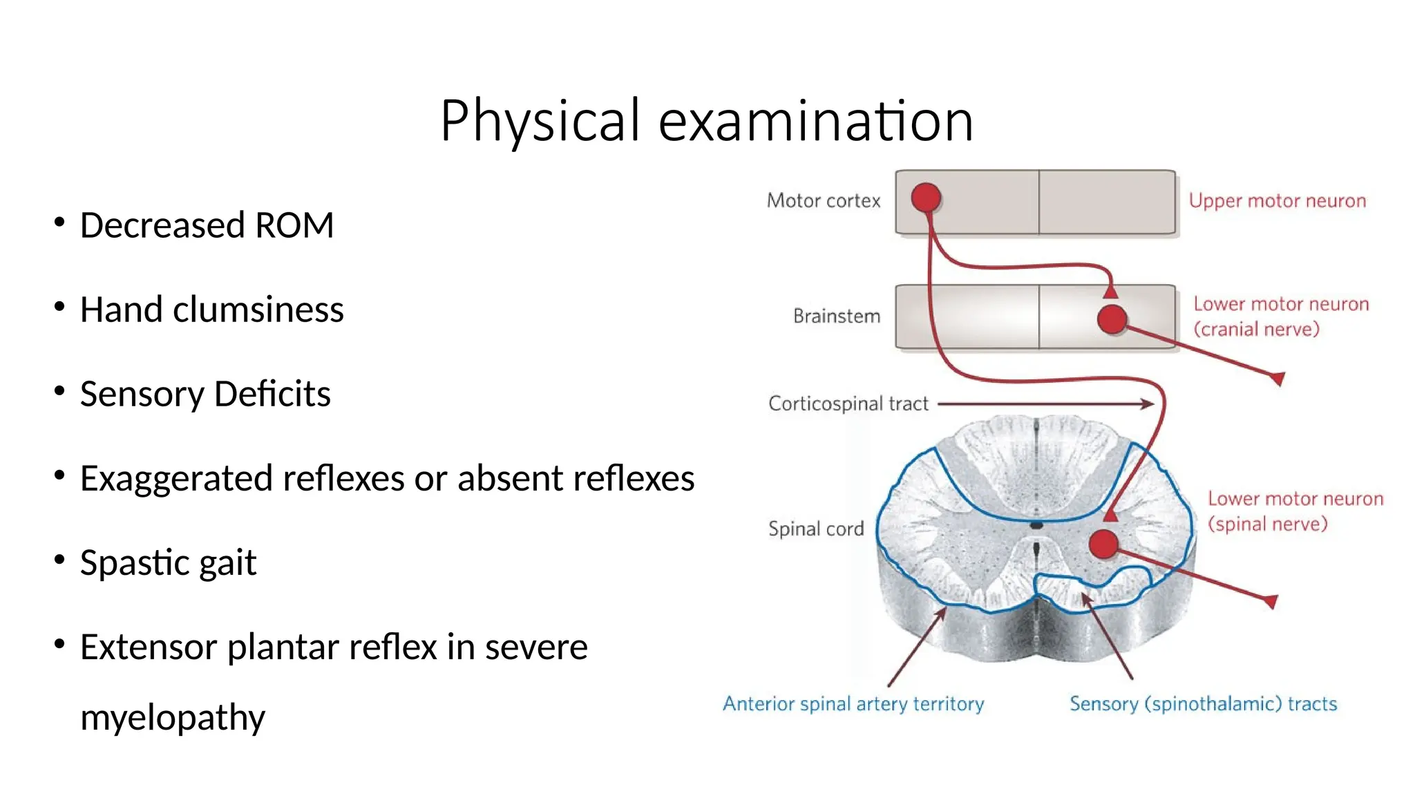 Cervical Spondylosis (Nutshell) with pictures | PPTX