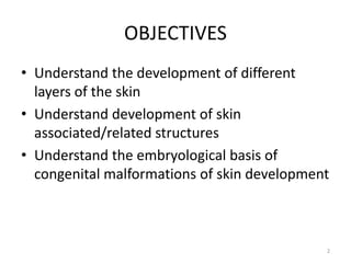OBJECTIVES
• Understand the development of different
layers of the skin
• Understand development of skin
associated/related structures
• Understand the embryological basis of
congenital malformations of skin development
2
 