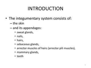 INTRODUCTION
• The integumentary system consists of:
– the skin
– and its appendages:
• sweat glands,
• nails,
• hairs,
• sebaceous glands,
• arrector muscles of hairs (arrector pili muscles),
• mammary glands,
• teeth
3
 