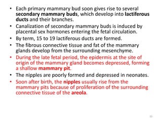 • Each primary mammary bud soon gives rise to several
secondary mammary buds, which develop into lactiferous
ducts and their branches.
• Canalization of secondary mammary buds is induced by
placental sex hormones entering the fetal circulation.
• By term, 15 to 19 lactiferous ducts are formed.
• The fibrous connective tissue and fat of the mammary
glands develop from the surrounding mesenchyme.
• During the late fetal period, the epidermis at the site of
origin of the mammary gland becomes depressed, forming
a shallow mammary pit.
• The nipples are poorly formed and depressed in neonates.
• Soon after birth, the nipples usually rise from the
mammary pits because of proliferation of the surrounding
connective tissue of the areola.
33
 