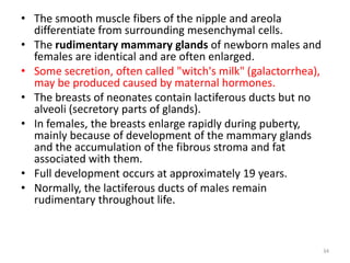 • The smooth muscle fibers of the nipple and areola
differentiate from surrounding mesenchymal cells.
• The rudimentary mammary glands of newborn males and
females are identical and are often enlarged.
• Some secretion, often called "witch's milk" (galactorrhea),
may be produced caused by maternal hormones.
• The breasts of neonates contain lactiferous ducts but no
alveoli (secretory parts of glands).
• In females, the breasts enlarge rapidly during puberty,
mainly because of development of the mammary glands
and the accumulation of the fibrous stroma and fat
associated with them.
• Full development occurs at approximately 19 years.
• Normally, the lactiferous ducts of males remain
rudimentary throughout life.
34
 
