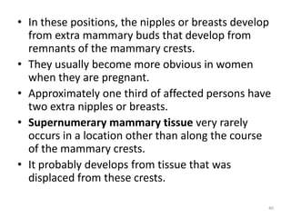 • In these positions, the nipples or breasts develop
from extra mammary buds that develop from
remnants of the mammary crests.
• They usually become more obvious in women
when they are pregnant.
• Approximately one third of affected persons have
two extra nipples or breasts.
• Supernumerary mammary tissue very rarely
occurs in a location other than along the course
of the mammary crests.
• It probably develops from tissue that was
displaced from these crests.
40
 
