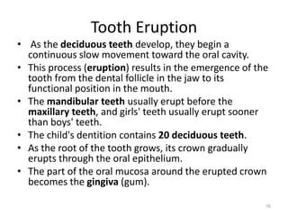 Tooth Eruption
• As the deciduous teeth develop, they begin a
continuous slow movement toward the oral cavity.
• This process (eruption) results in the emergence of the
tooth from the dental follicle in the jaw to its
functional position in the mouth.
• The mandibular teeth usually erupt before the
maxillary teeth, and girls' teeth usually erupt sooner
than boys' teeth.
• The child's dentition contains 20 deciduous teeth.
• As the root of the tooth grows, its crown gradually
erupts through the oral epithelium.
• The part of the oral mucosa around the erupted crown
becomes the gingiva (gum).
76
 