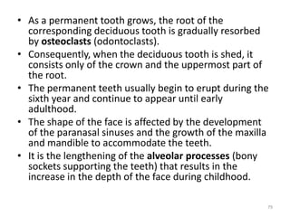 • As a permanent tooth grows, the root of the
corresponding deciduous tooth is gradually resorbed
by osteoclasts (odontoclasts).
• Consequently, when the deciduous tooth is shed, it
consists only of the crown and the uppermost part of
the root.
• The permanent teeth usually begin to erupt during the
sixth year and continue to appear until early
adulthood.
• The shape of the face is affected by the development
of the paranasal sinuses and the growth of the maxilla
and mandible to accommodate the teeth.
• It is the lengthening of the alveolar processes (bony
sockets supporting the teeth) that results in the
increase in the depth of the face during childhood.
79
 