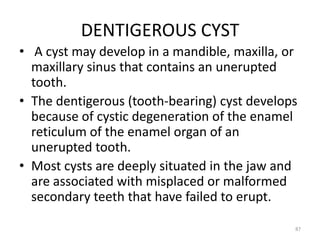 DENTIGEROUS CYST
• A cyst may develop in a mandible, maxilla, or
maxillary sinus that contains an unerupted
tooth.
• The dentigerous (tooth-bearing) cyst develops
because of cystic degeneration of the enamel
reticulum of the enamel organ of an
unerupted tooth.
• Most cysts are deeply situated in the jaw and
are associated with misplaced or malformed
secondary teeth that have failed to erupt.
87
 