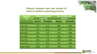 12.-Coconut-Farm-Establishment-Landprep-to-Planting-system.pptx