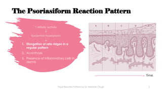 Rete Ridge Pattern Tissue Reaction Patterns in Dermatopathology | PPTX