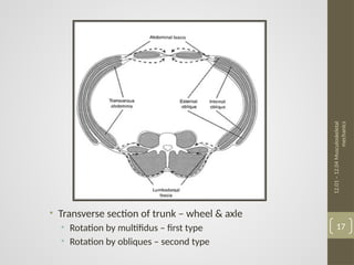 12.01 - 12.04 musculoskeletal mechanics.pptx
