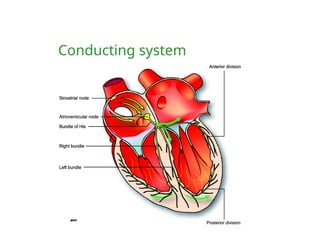 Conducting system
 