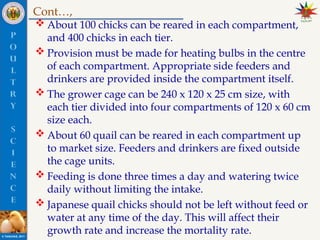 12._JAPANESE_QUAIL_REARING presentation in poultry science animal ...