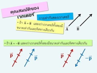 𝐩
𝐩
𝐀 𝐁
- ถ้า 𝐀 = −𝐁 แสดงว่าเวกเตอร์ทั้งสองมีขนาดเท่ากันและทิศทางเดียวกัน
𝐩
−𝐩
 