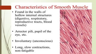 12. Histology of muscle , smooth,cardiac & skeletal.pptx