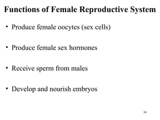Comprehensive Overview of Human Reproductive Systems and Functions | PPT