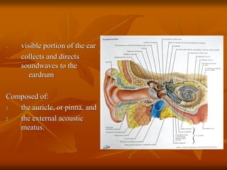 Comprehensive Overview of Ear Anatomy and Common Ear Conditions | PDF