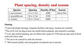 Plant spacing, density and season
Planting
Land with proper drainage, irrigation facilities and sunny location are essential.
Pits of 45 cm3 are dug at least one month before planting and exposed to sunlight.
A few days before planting, pits are filled with 2 parts of FYM and one part each of fresh
earth and coarse sand.
 Pits are to be watered to settle the mixture.
 Well rooted, healthy and strong plants are planted one in each pit.
 