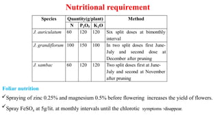 Nutritional requirement
Foliar nutrition
Spraying of zinc 0.25% and magnesium 0.5% before flowering increases the yield of flowers.
Spray FeSO4 at 5g/lit. at monthly intervals until the chlorotic symptoms 7disappear.
 