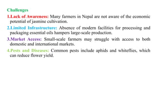 Challenges
1.Lack of Awareness: Many farmers in Nepal are not aware of the economic
potential of jasmine cultivation.
2.Limited Infrastructure: Absence of modern facilities for processing and
packaging essential oils hampers large-scale production.
3.Market Access: Small-scale farmers may struggle with access to both
domestic and international markets.
4.Pests and Diseases: Common pests include aphids and whiteflies, which
can reduce flower yield.
 