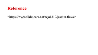 Reference
• https://www.slideshare.net/reja1310/jasmin-flower
 
