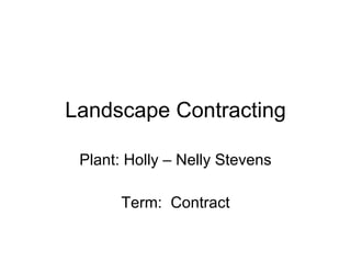 Landscape Contracting Plant: Holly – Nelly Stevens Term:  Contract 