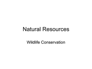 Natural Resources Wildlife Conservation 