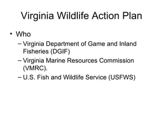 Virginia Wildlife Action Plan Who Virginia Department of Game and Inland Fisheries (DGIF) Virginia Marine Resources Commission (VMRC). U.S. Fish and Wildlife Service (USFWS) 