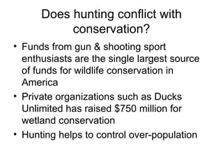 Does hunting conflict with conservation? Funds from gun & shooting sport enthusiasts are the single largest source of funds for wildlife conservation in America Private organizations such as Ducks Unlimited has raised $750 million for wetland conservation  Hunting helps to control over-population 