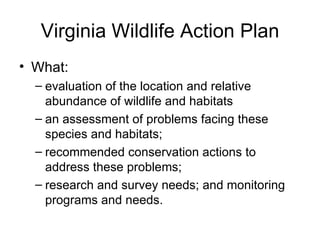 Virginia Wildlife Action Plan What:  evaluation of the location and relative abundance of wildlife and habitats  an assessment of problems facing these species and habitats;  recommended conservation actions to address these problems;  research and survey needs; and monitoring programs and needs.  
