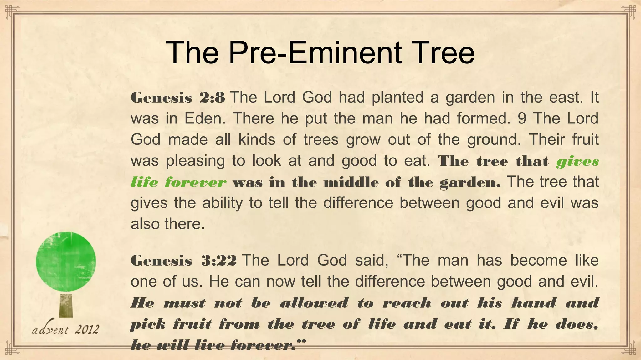Tree of Life | PPT