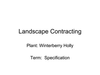 Landscape Contracting Plant: Winterberry Holly Term:  Specification 