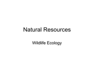 Natural Resources Wildlife Ecology 