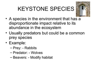 Keystone Example 12 3 Wildlife Ecology | PPT