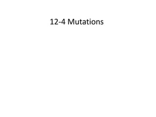 12-4 Mutations
 