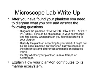 Microscope Lab Write Up ,[object Object],[object Object],[object Object],[object Object],[object Object]