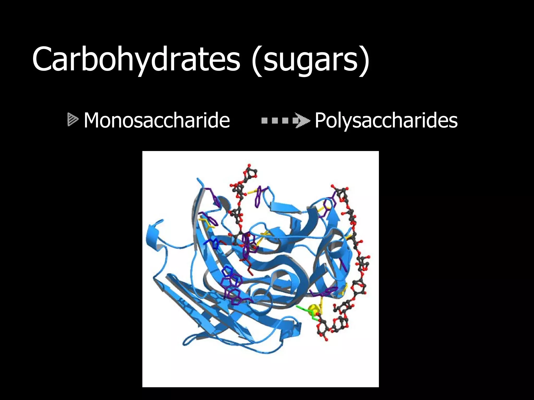 Carbohydrates (sugars) Monosaccharide  Polysaccharides 