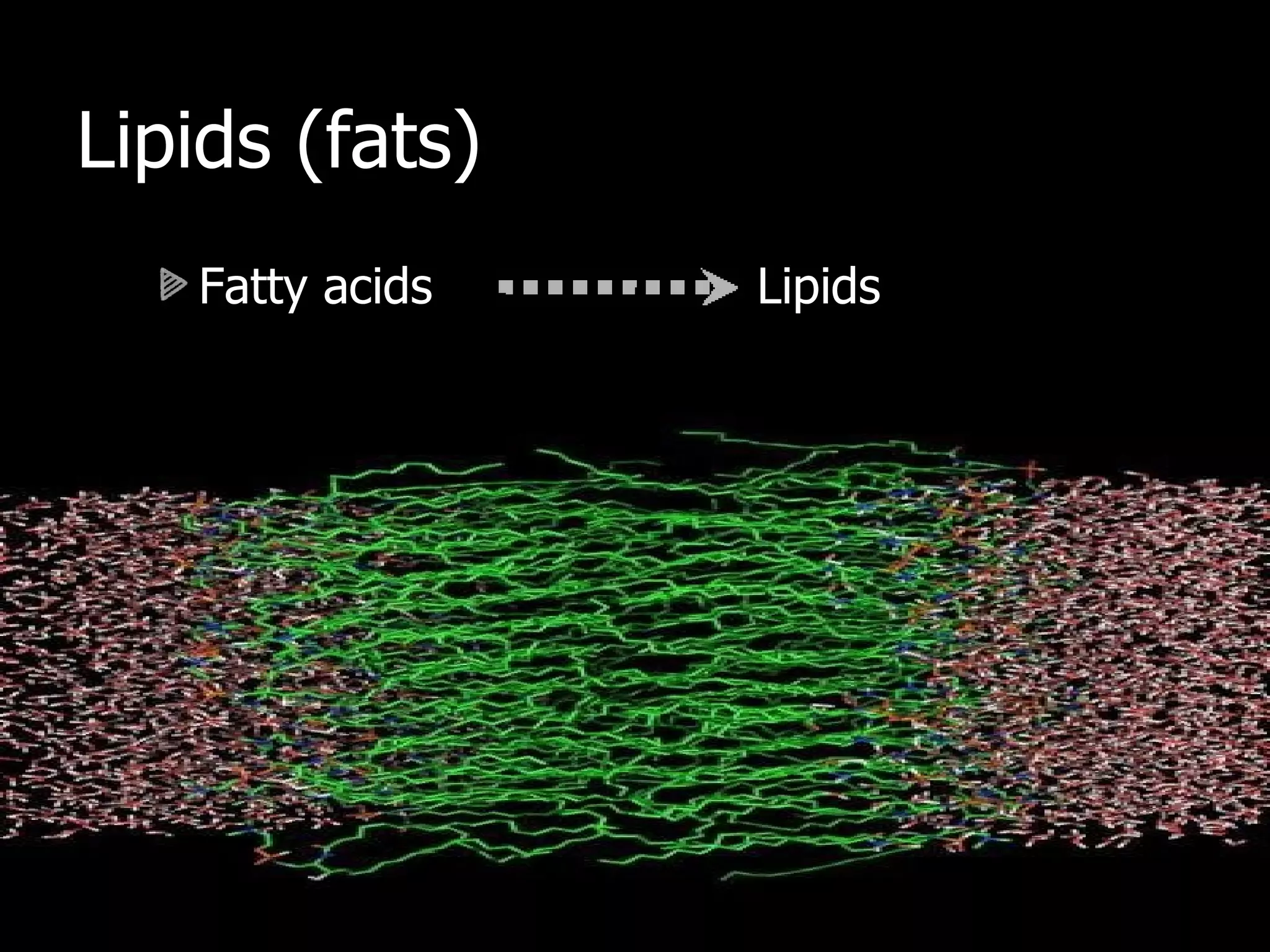 Lipids (fats) Fatty acids Lipids 