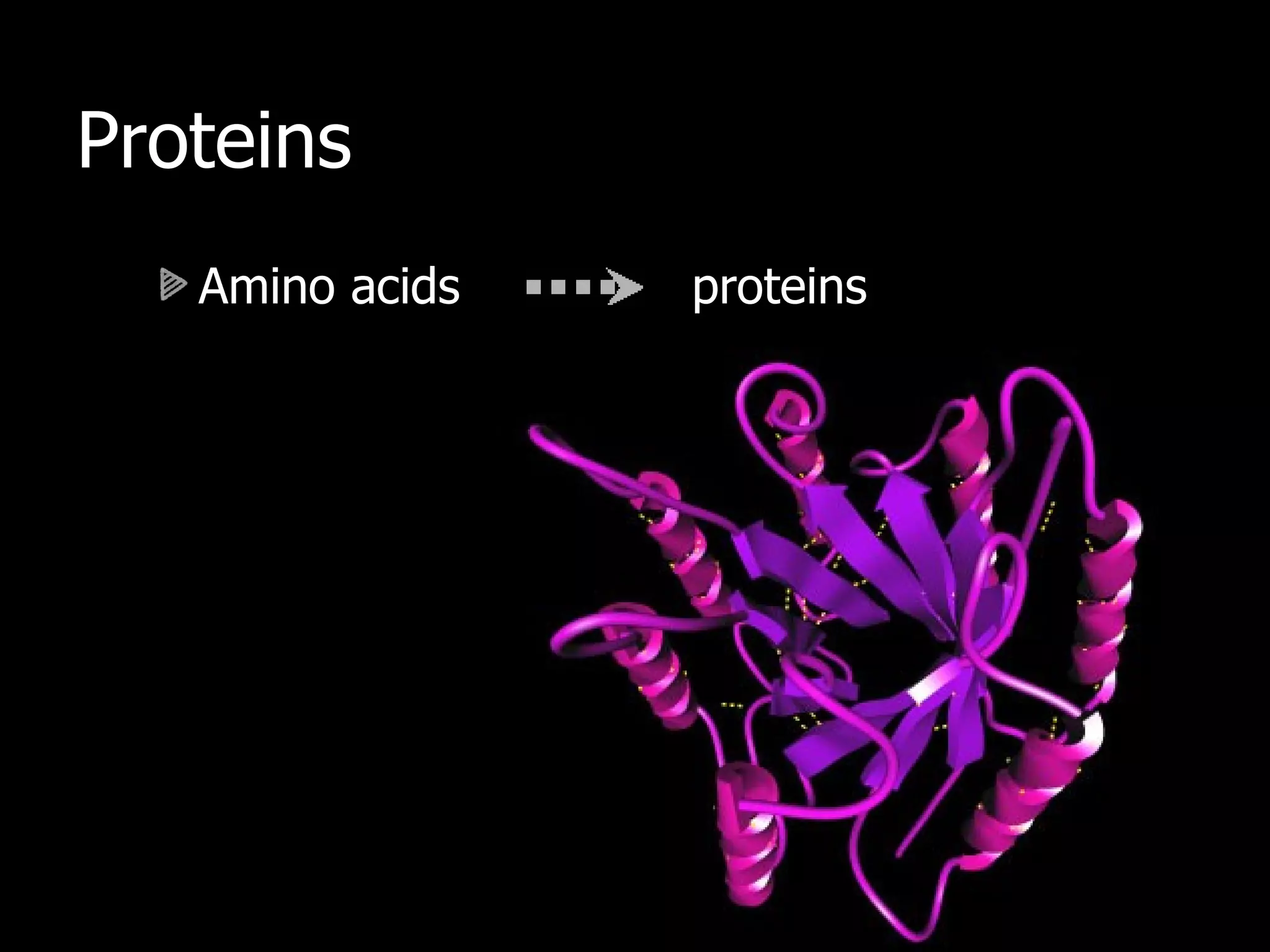 Proteins Amino acids  proteins 