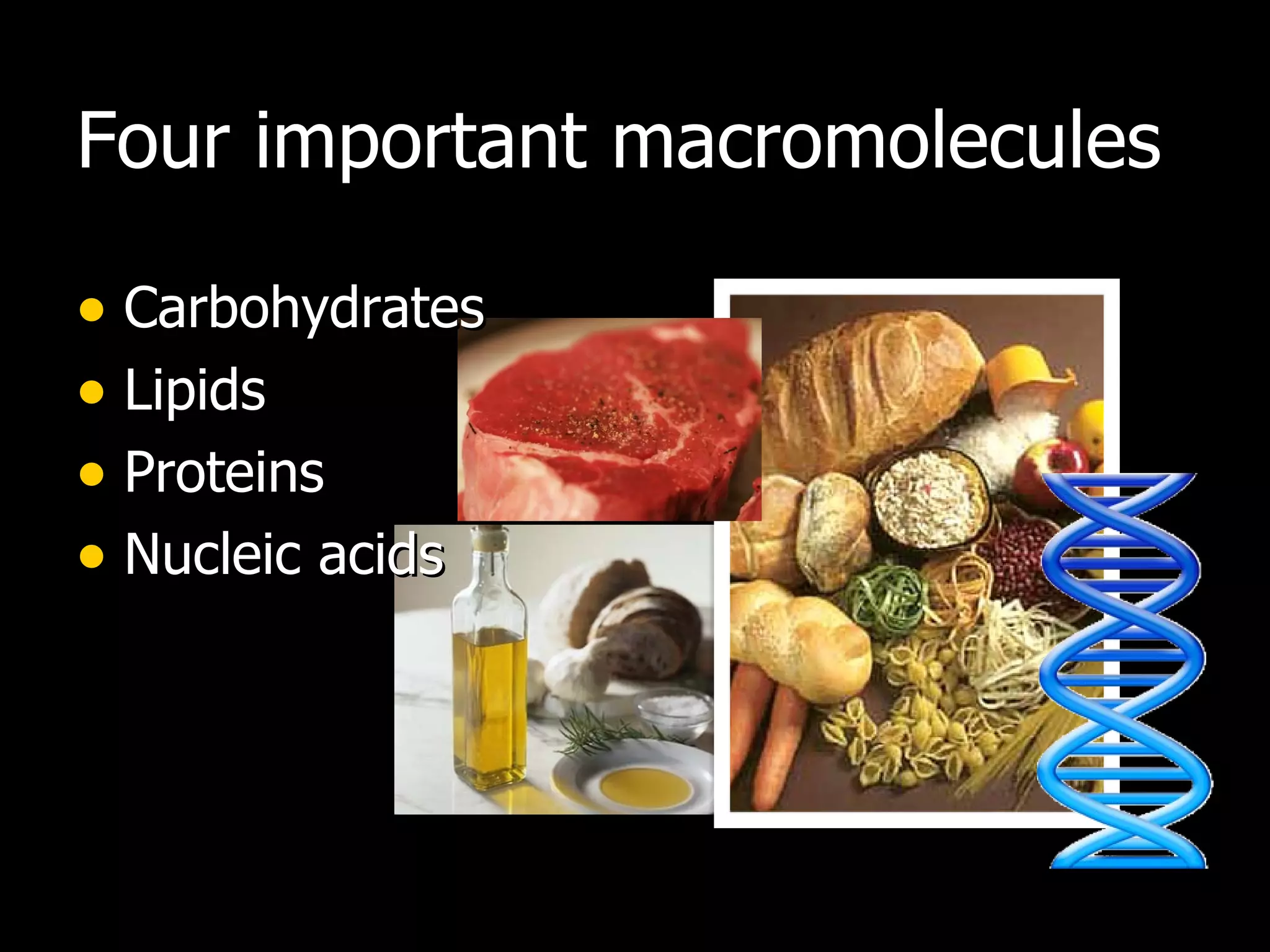 Four important macromolecules Carbohydrates Lipids Proteins Nucleic acids 